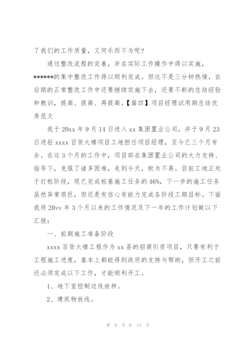 项目经理试用期总结优秀范文.docx