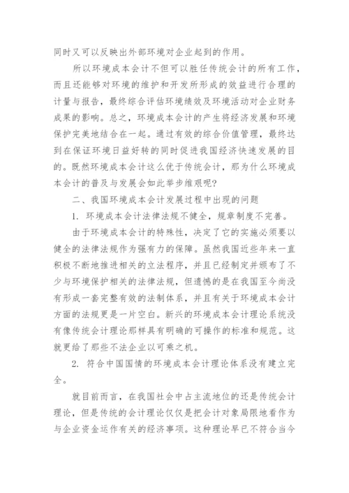 环境会计问题论文范文.docx