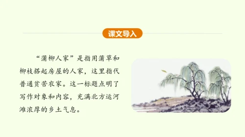 第8课 蒲柳人家 课件(共38张PPT)-【课堂无忧】新课标同步核心素养课堂