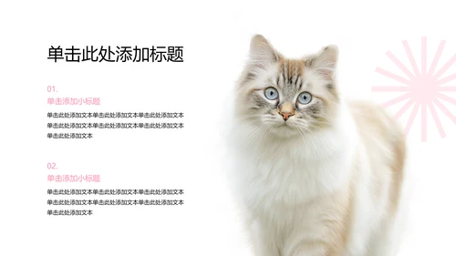 彩色简约几何风宠物行业职业介绍PPT模板