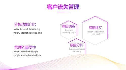 公司品牌产品发布会策划方案PPT