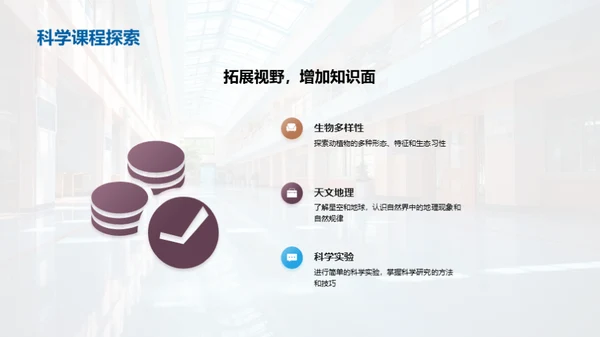二年级的学习探索
