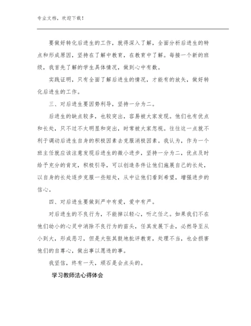 2024学习教师法心得体会例文30篇合辑.docx