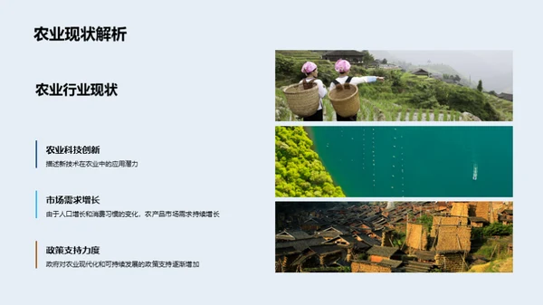 创新农业投资策略