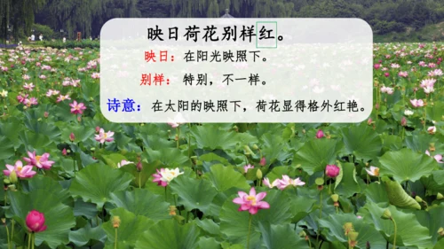 15 《古诗二首》（第一课时）——《晓出净慈寺送林子方》  课件