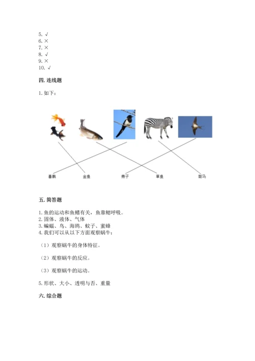 教科版一年级下册科学期末测试卷可打印.docx