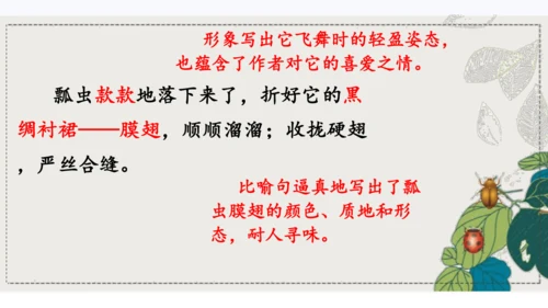 4昆虫备忘录   课件
