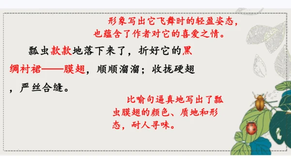 4昆虫备忘录   课件