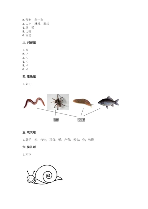 教科版小学科学一年级下册期末测试卷完美版.docx