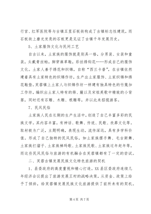 发展民族文化旅游调查研究报告.docx