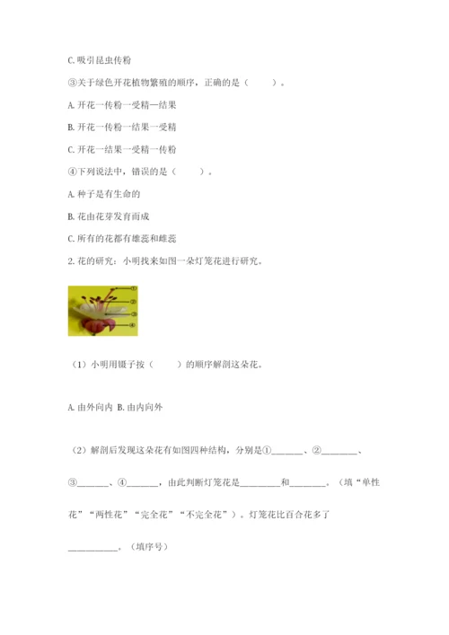 科学四年级下册第一单元《植物的生长变化》测试卷【培优】.docx