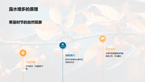 探索寒露节气