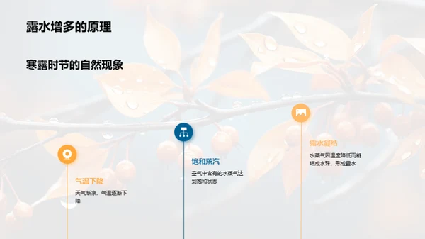 探索寒露节气
