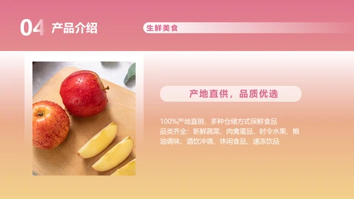 粉色渐变风格商业计划书