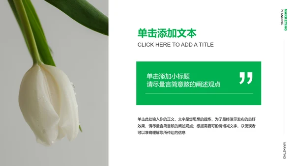 绿色清新风格营销策划植物通用PPT演示模板