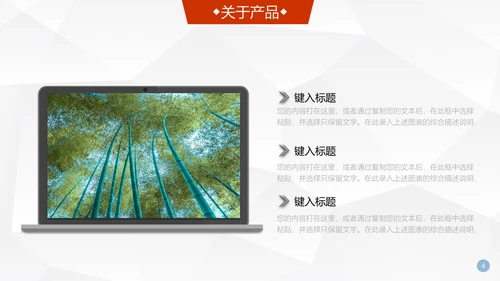登珠峰公司简介商业项目创业计划书