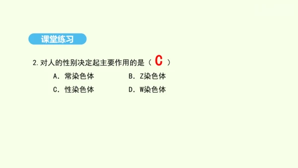 7.2.4人的性别遗传课件-人教版生物八年级下册(共31张PPT)