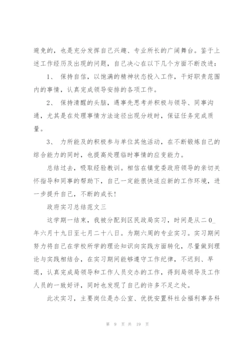 政府实习总结范文5篇.docx