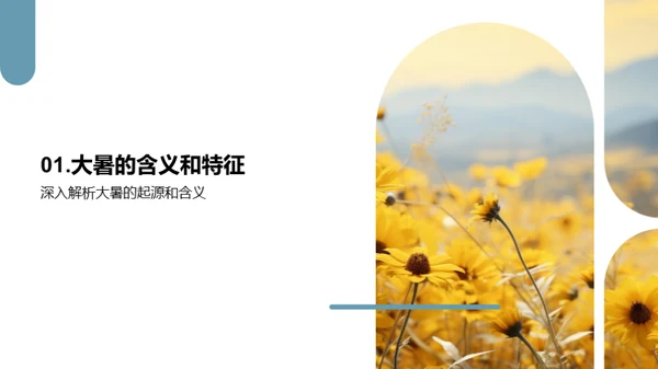 大暑团建盛典