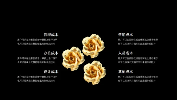 商业BP创业融资计划书通用PPT模板