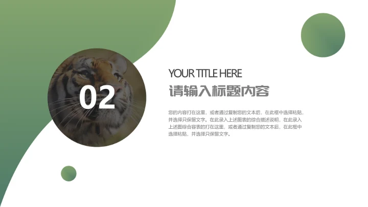 人与自然大熊猫活动宣传通用PPT模板