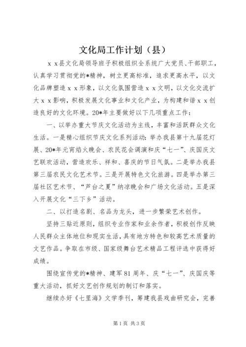 文化局工作计划（县）.docx