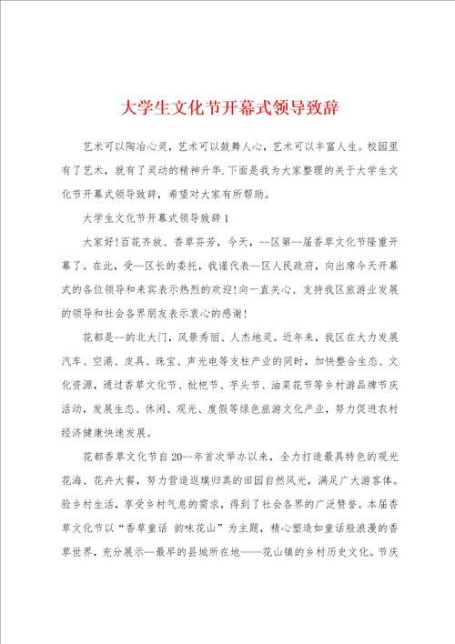 大学生文化节开幕式领导致辞