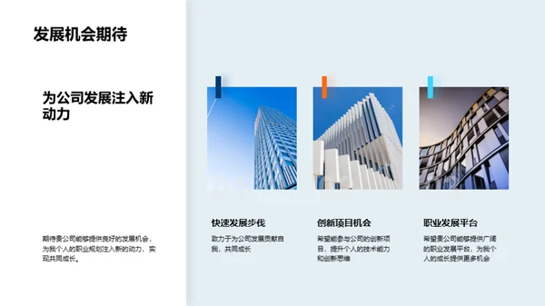 职业规划与卓越追求