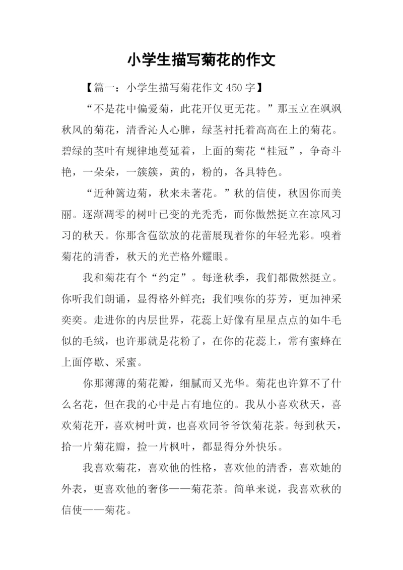 小学生描写菊花的作文.docx