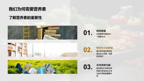 营养饮食与健康生活