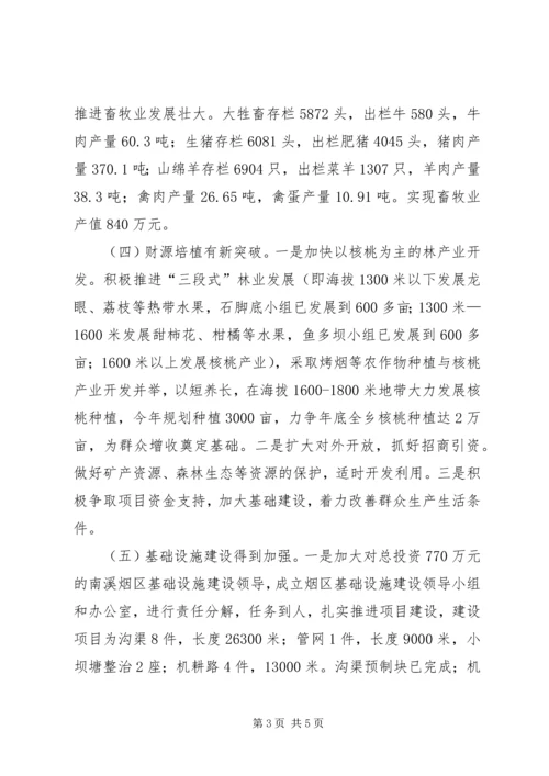乡镇工作总结和工作意见.docx