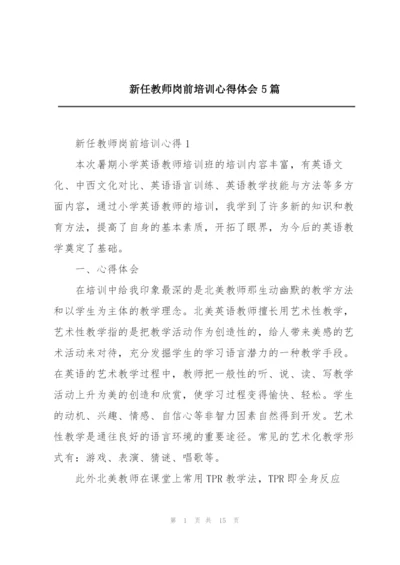 新任教师岗前培训心得体会5篇.docx