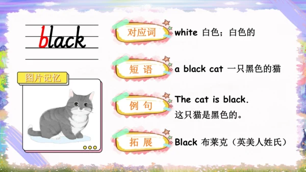 Unit 2 Colours单词导学课件（23张PPT)