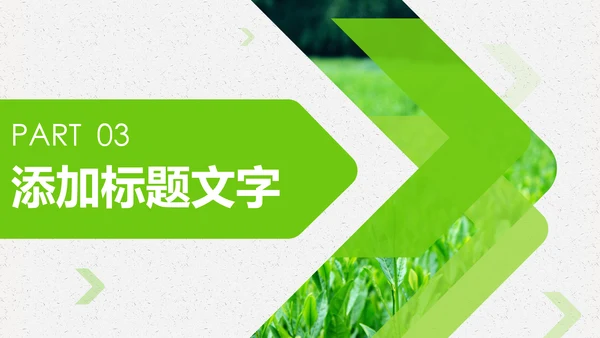 唯美绿色茶园茶文化品茶论道PPT模板