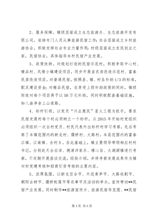 乡镇民宿经济发展情况汇报.docx