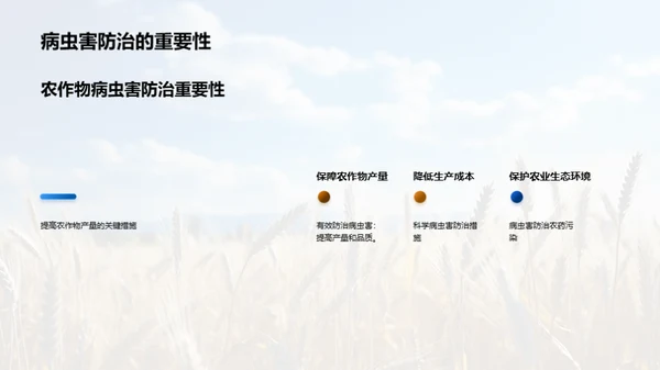 农业种植：智慧之选