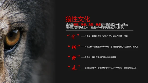 狼性文化教学企业团队培训PPT课件