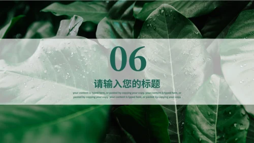 夏天的绿叶二十四节气夏至通用PPT模板