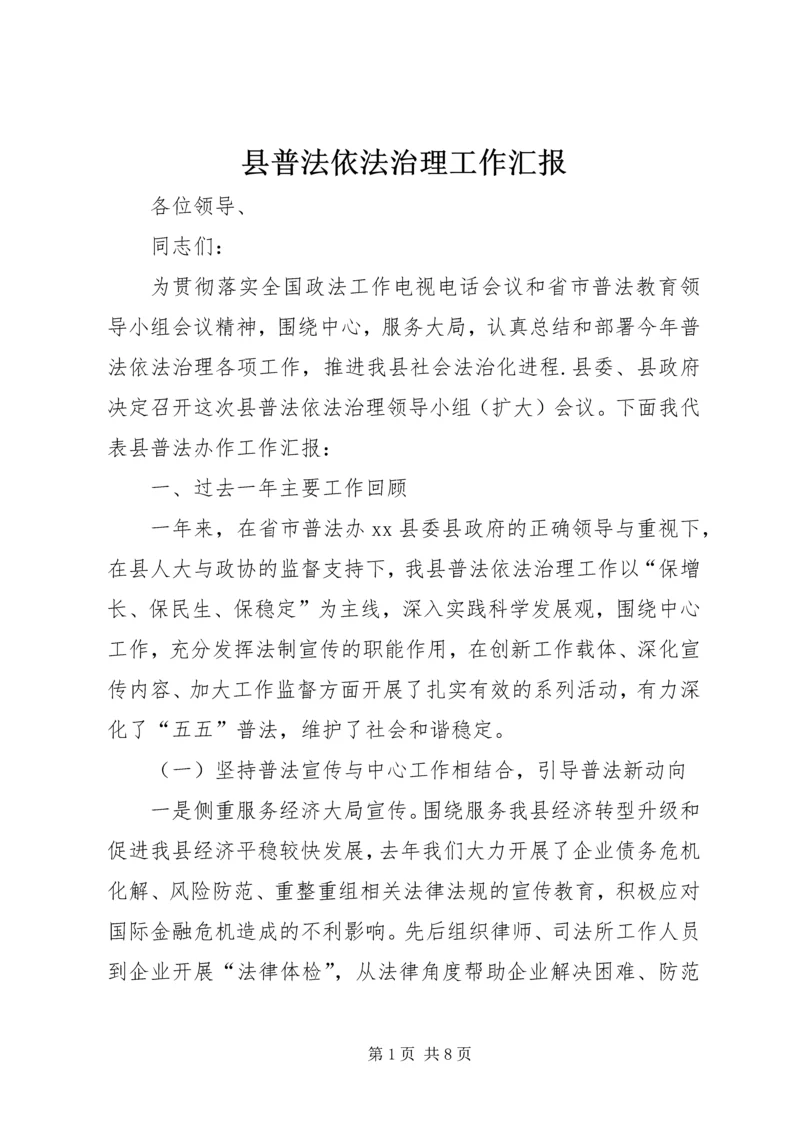 县普法依法治理工作汇报.docx