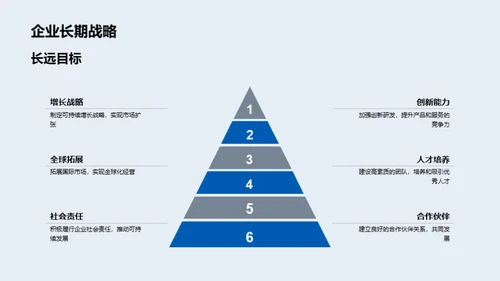 公司年度绩效回顾