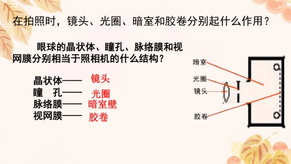 第四单元第五、六章复习课件(共33张PPT)人教版七年级下册