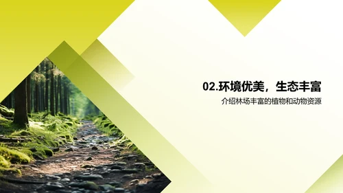 林场管理与保护