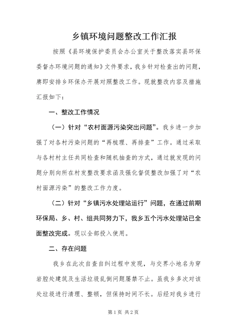 乡镇环境问题整改工作汇报.docx