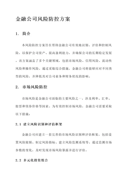 金融公司风险防控方案