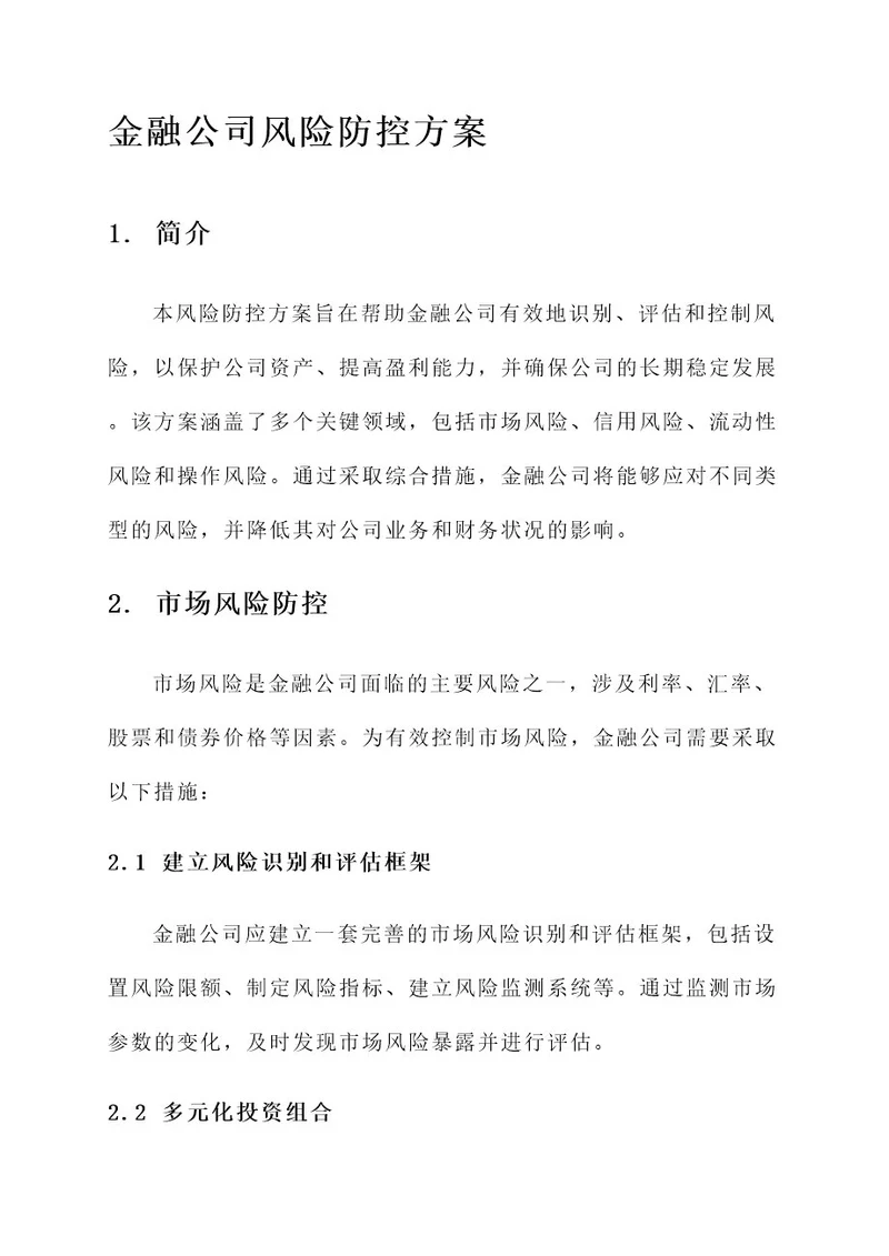 金融公司风险防控方案