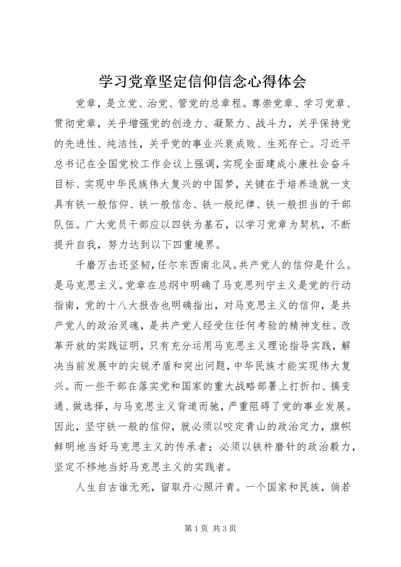 学习党章坚定信仰信念心得体会.docx