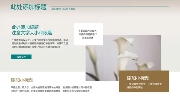 浅色小清新女性品牌营销演示PPT模板