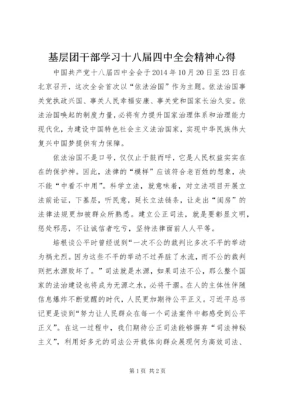 基层团干部学习十八届四中全会精神心得.docx