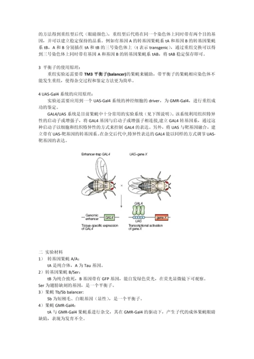 转基因果蝇实验—崔丽嘉.docx