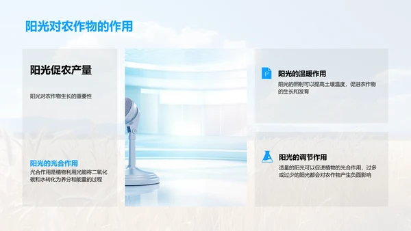大暑农业生产